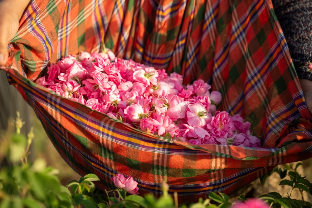 Wild Flora Harvest